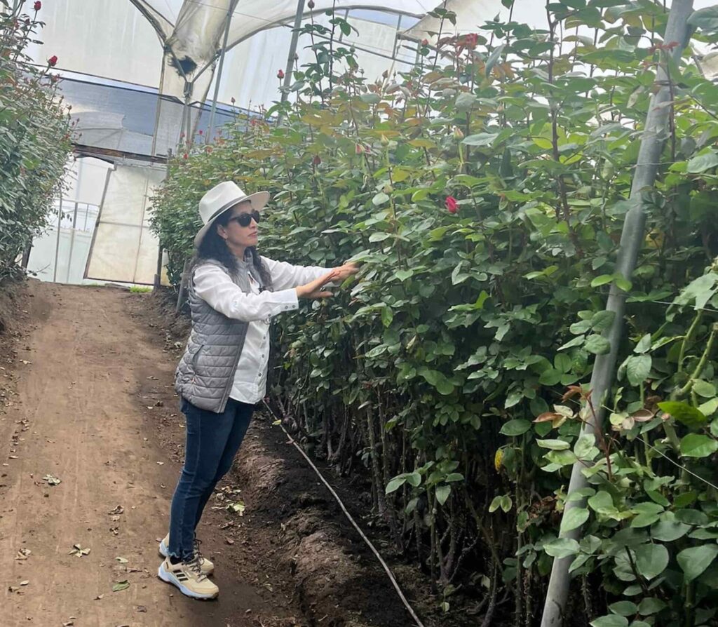  Rossanela Magali Jiménez Villarreal mujer destacada en la floricultura ecuatoriana. 