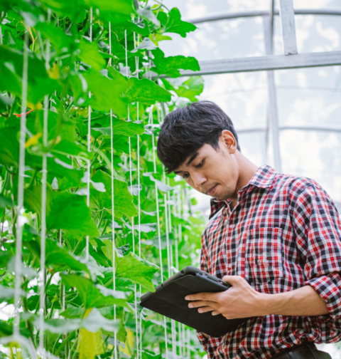 Feliz día al ingeniero agrónomo ecuatoriano y felicitarlo por su gran labor en el campo y la floricultura.