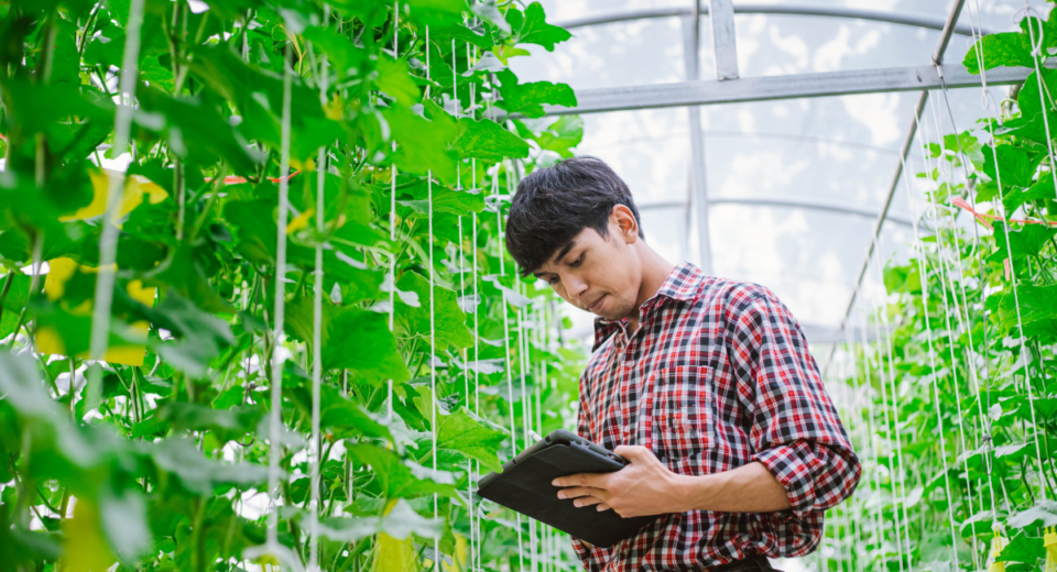 Feliz día al ingeniero agrónomo ecuatoriano y felicitarlo por su gran labor en el campo y la floricultura.