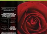 Portada de la revista Metroflor Ecuador, edición No. 4