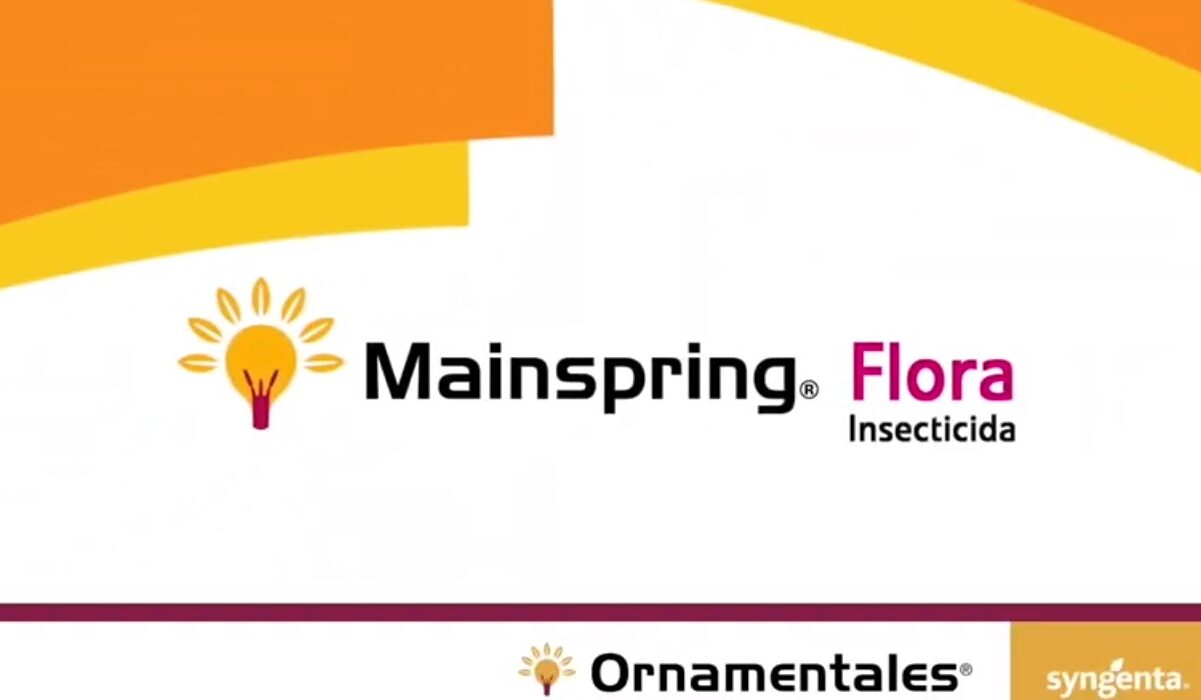 Mainspring-Syngenta