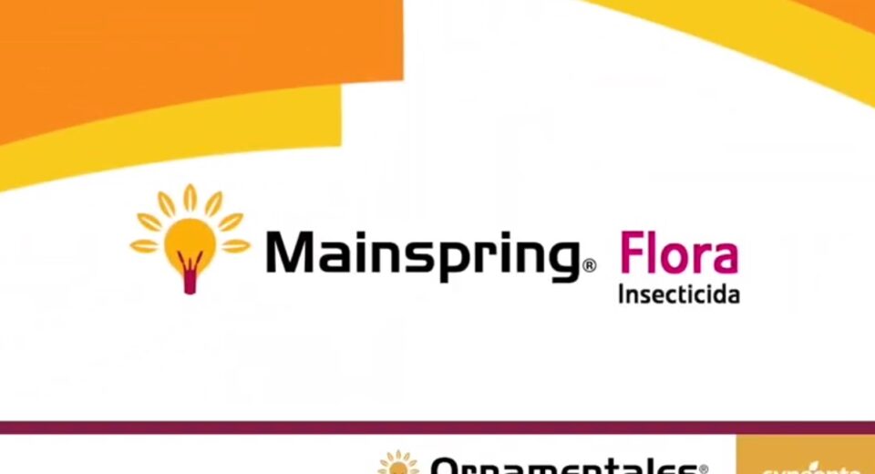 Mainspring-Syngenta